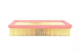 Воздушный фильтр BSG купить